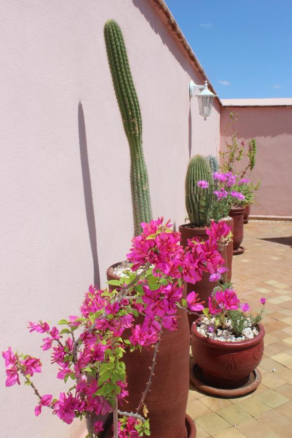 Hotel Riad El Arco Rooftop Pool & Spa Marrakesz Zewnętrze zdjęcie